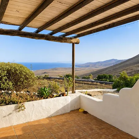 Tabaiba Lanzarote - Macaronesiahomes La Asomada (Lanzarote)