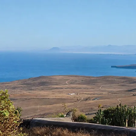 Tabaiba Lanzarote - Macaronesiahomes *