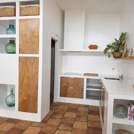 Tabaiba Lanzarote - Macaronesiahomes La Asomada (Lanzarote)