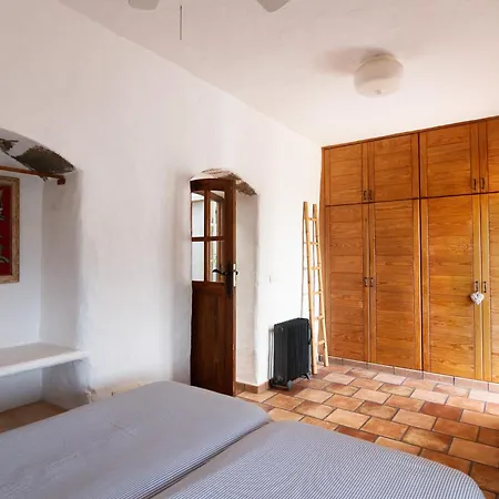 Tabaiba Lanzarote - Macaronesiahomes * La Asomada (Lanzarote)