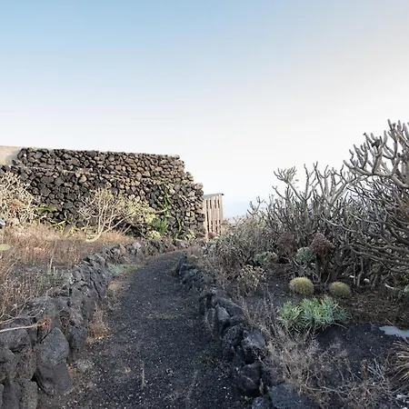 Tabaiba Lanzarote - Macaronesiahomes